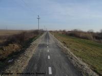 Imagine atasata: Bega - 2015.01.17 - 046.jpg